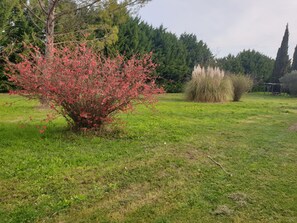 Property grounds - Provence, peaceful house, countryside, swimming pool, between Lubéron -Avignon -Mt Ventoux (Monteux)