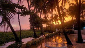 Ein Garten mit Wasserspiel und Palmen bei Sonnenuntergang.