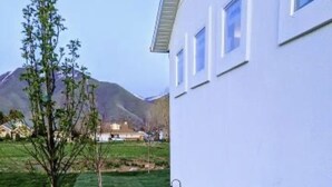 Immagine non classificata, 5 di 20, pulsante