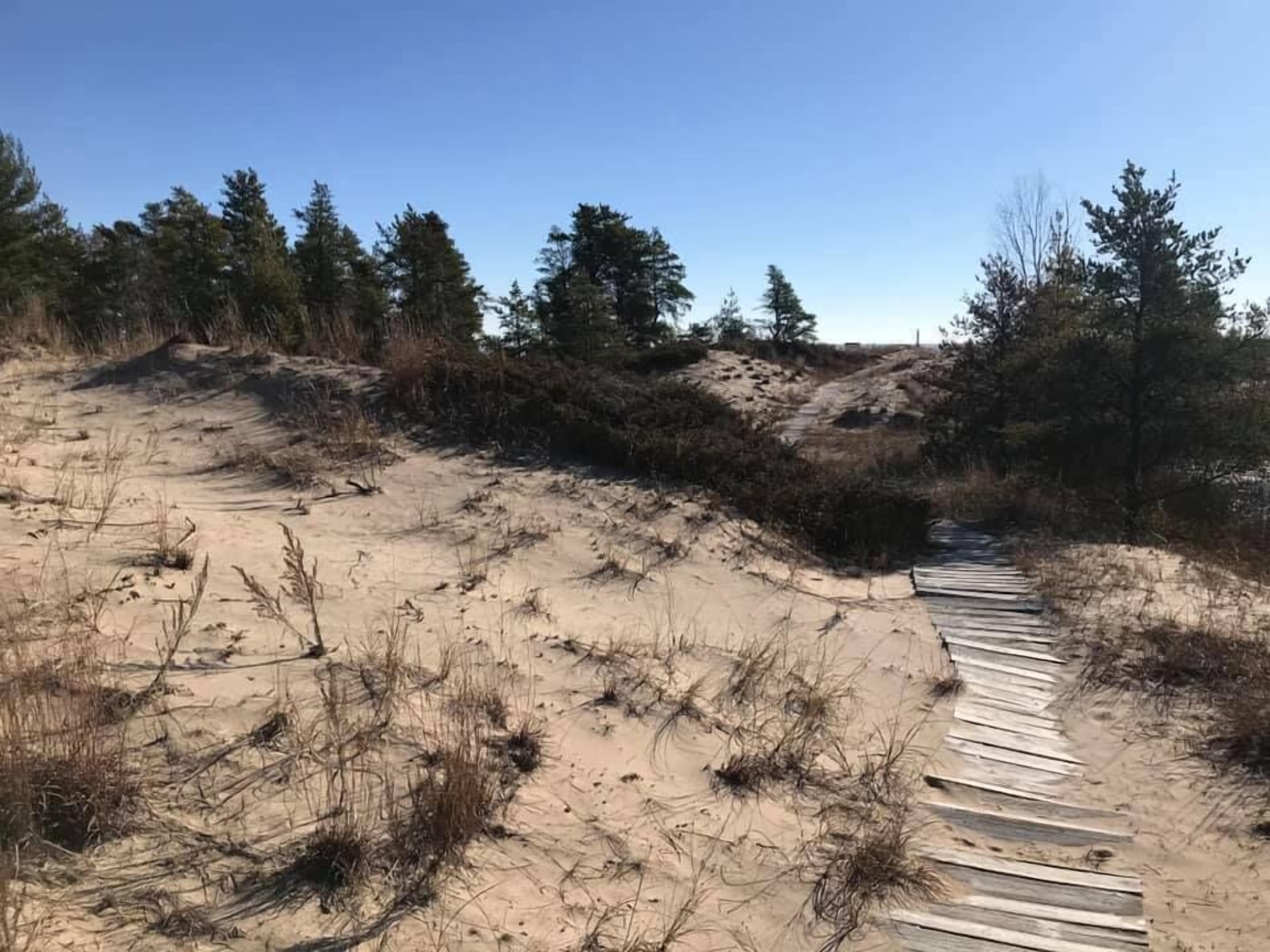 A sandy beach with a wooden boardwalk leading through dunes, surrounded by trees.