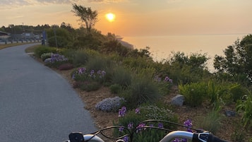 Ein Radweg mit Sonnenuntergangsblick, umgeben von Grünflächen und Blumen.