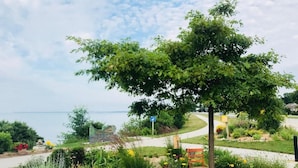 A garden with a bench, a tree, and a view of the water.