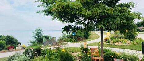 A garden with a bench, a tree, and a view of the water.