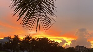 A sunset over a calm body of water with palm trees and buildings in the background. - Peaceful Paridise (Sarasota)