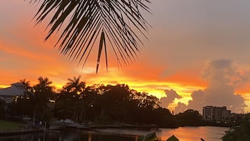 Camastros y toallas de playa