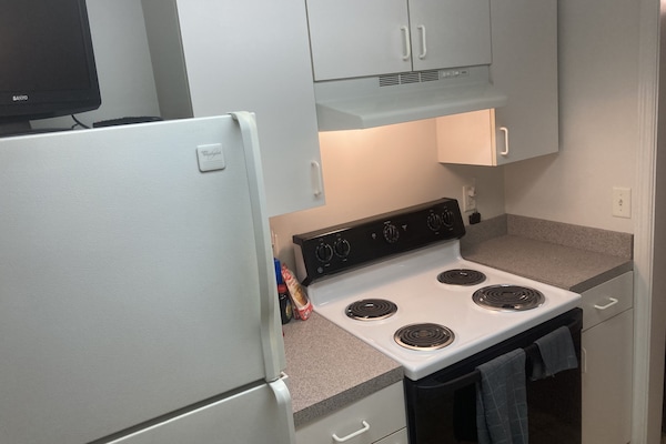 Frigorífico, microondas, horno y placa de cocina