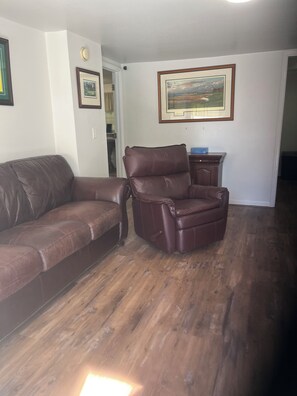 Smart TV, fireplace, video games, books