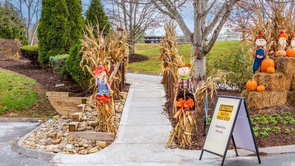 Áreas de la propiedad