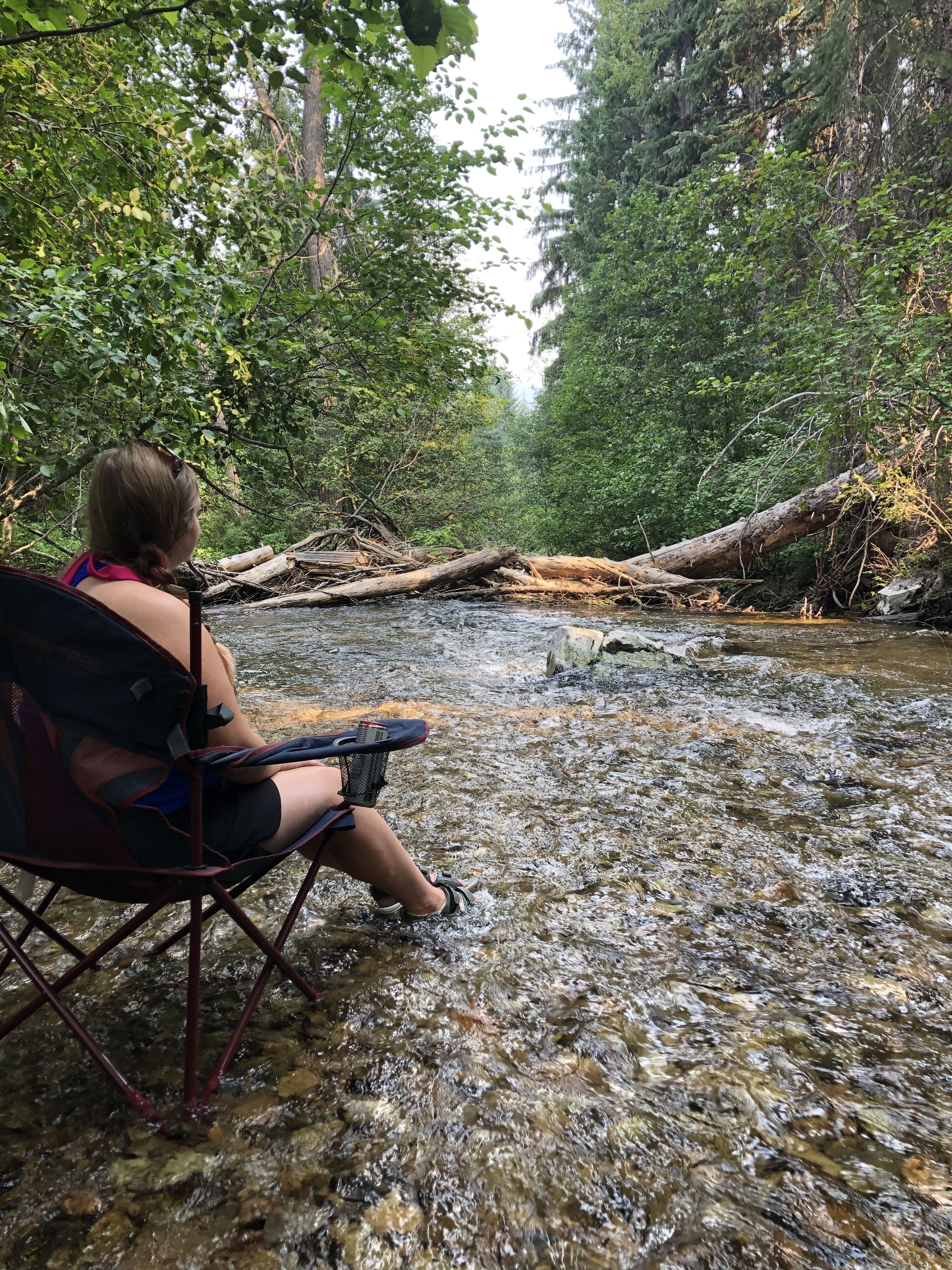 A person sitting in a chair by a flowing stream in a forested area.