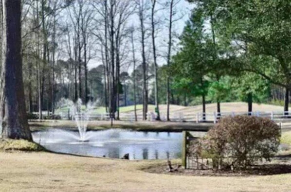 Stroll across the serene pond, surrounded by trees and a gentle fountain.