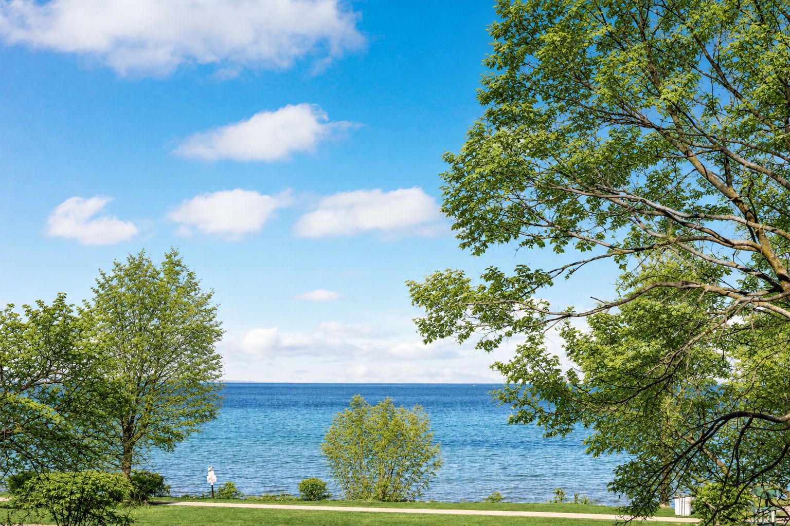 Une vue sur un lac, avec des arbres et un ciel dégagé.