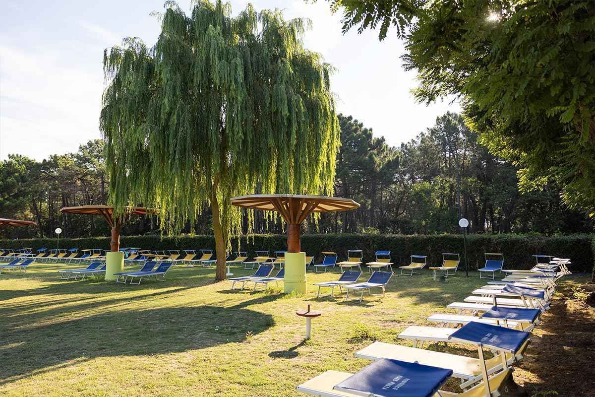 Parco della struttura