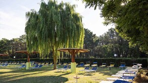 A garden with rows of sun loungers and a large weeping willow tree.