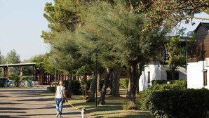 A woman walking a dog on a paved path with trees and a building in the background.