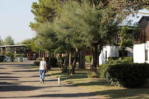 Property grounds - Bungalow with air conditioning, internet, garden and pool (Casal Borsetti)