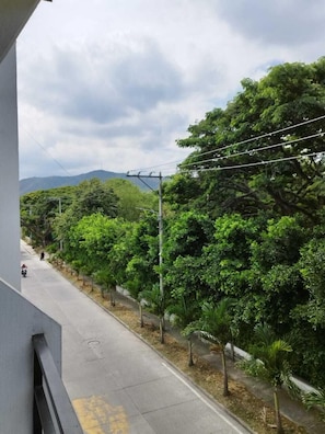 Una calle con árboles y cielo despejado.