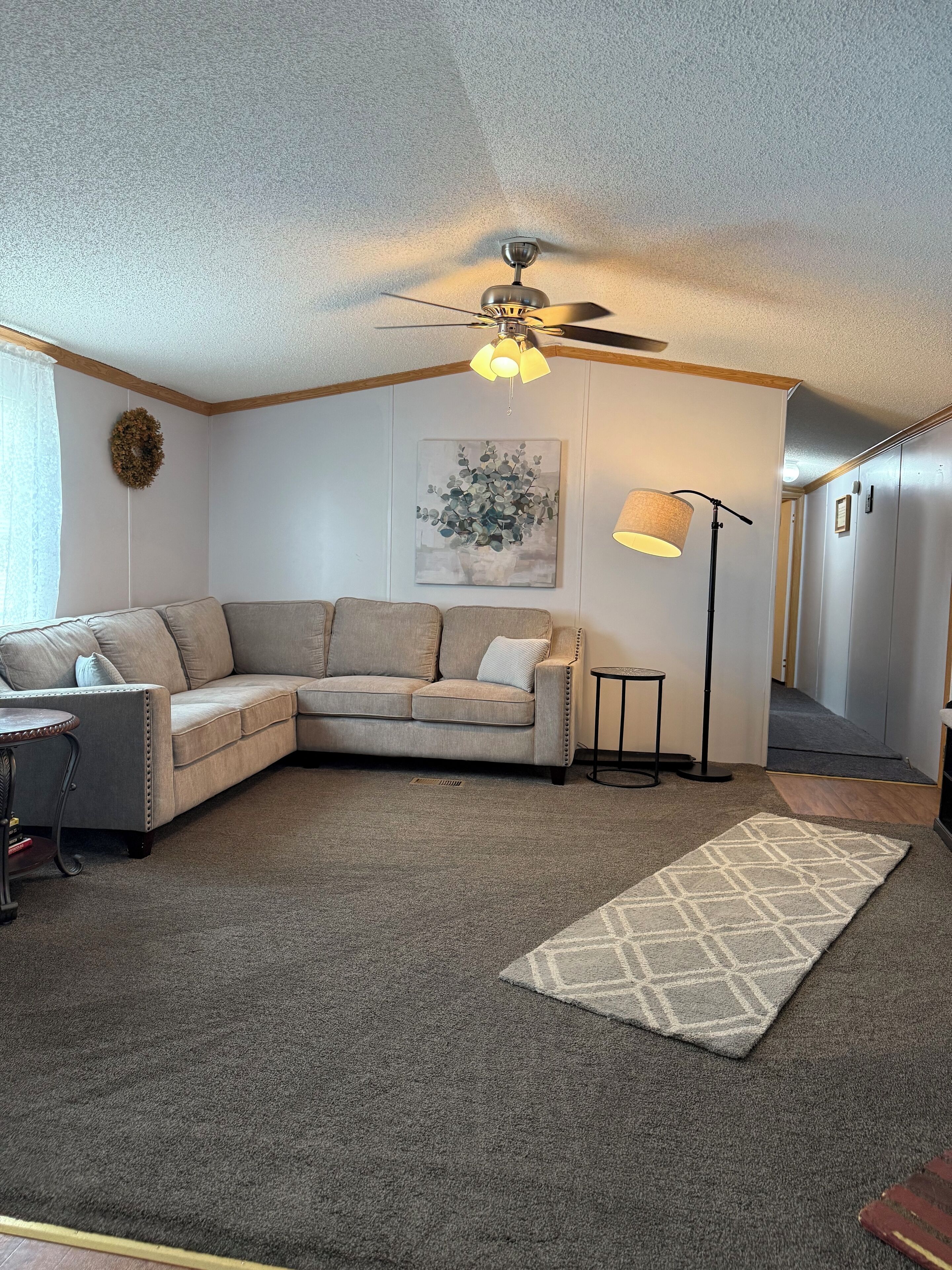 Smart-TV, peis og bøker