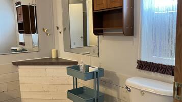 A bathroom with a white toilet, a blue toilet seat, a mirror, a wooden cabinet, a sink with a mirror, and a window with curtains.