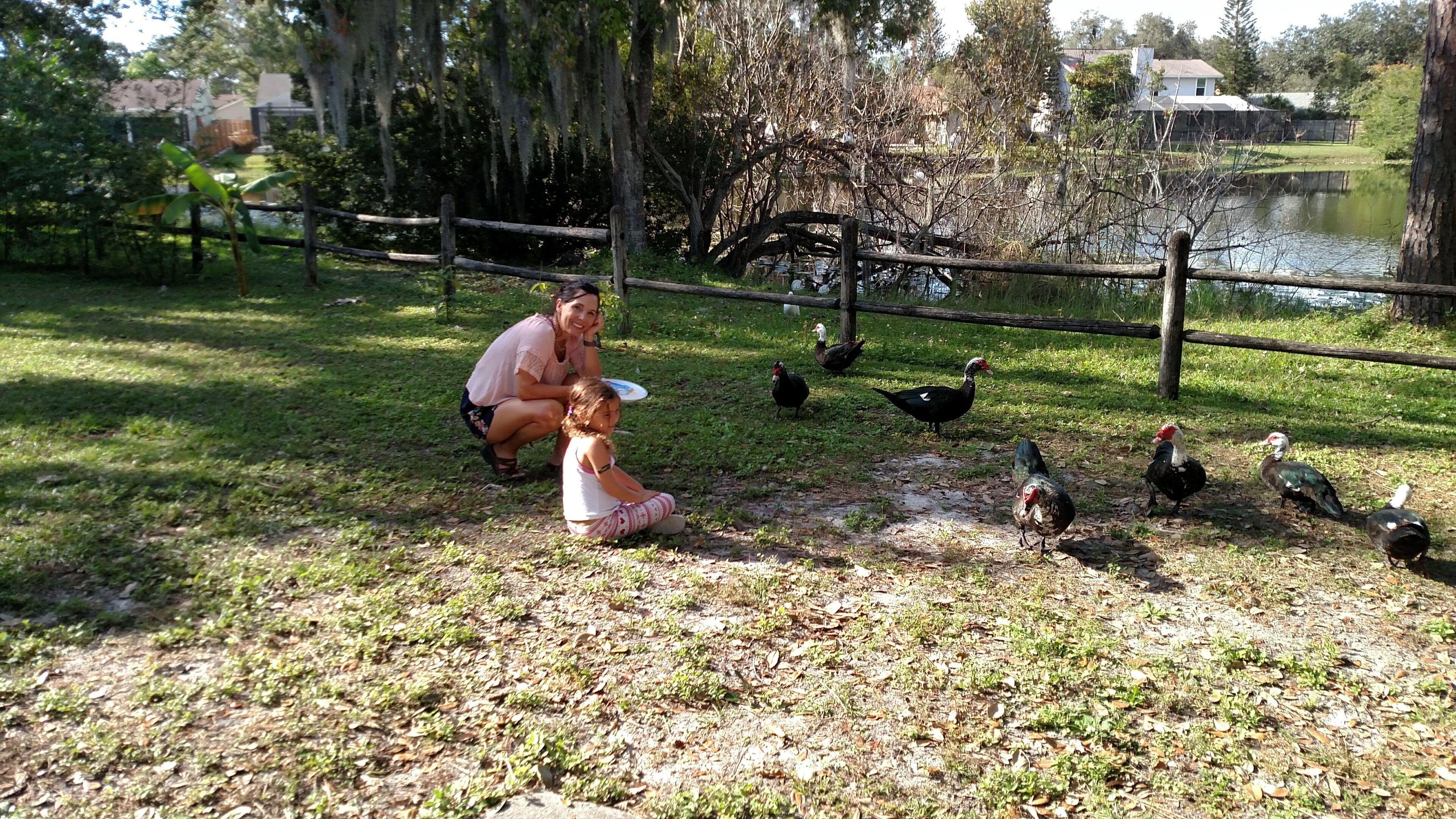 A woman and a child sitting on the grass near a pond with ducks and geese.