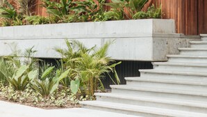Pared de madera con la palabra “Wake” en letras grandes, una escalera de concreto y una jardinera con diversas plantas.