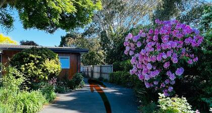 Cottage by the park—5 mins from CHC airport