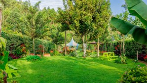 Un exuberante jardín con un pabellón, césped verde y diversas plantas.