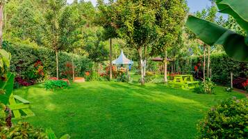 Área da propriedade