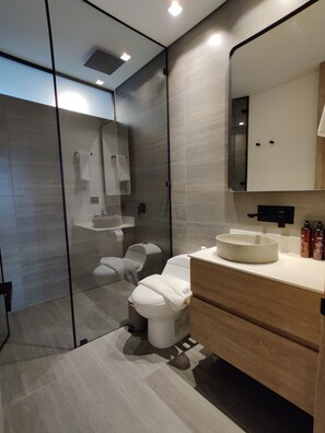 Shower, hair dryer, towels, soap