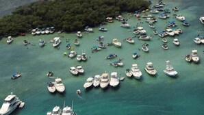 An aerial view of a marina with numerous boats docked and a small island with dense vegetation. - Cayo Collado at Guayacán Guest House (Lajas)