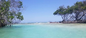 Cayo Collado at Guayacán Guest House