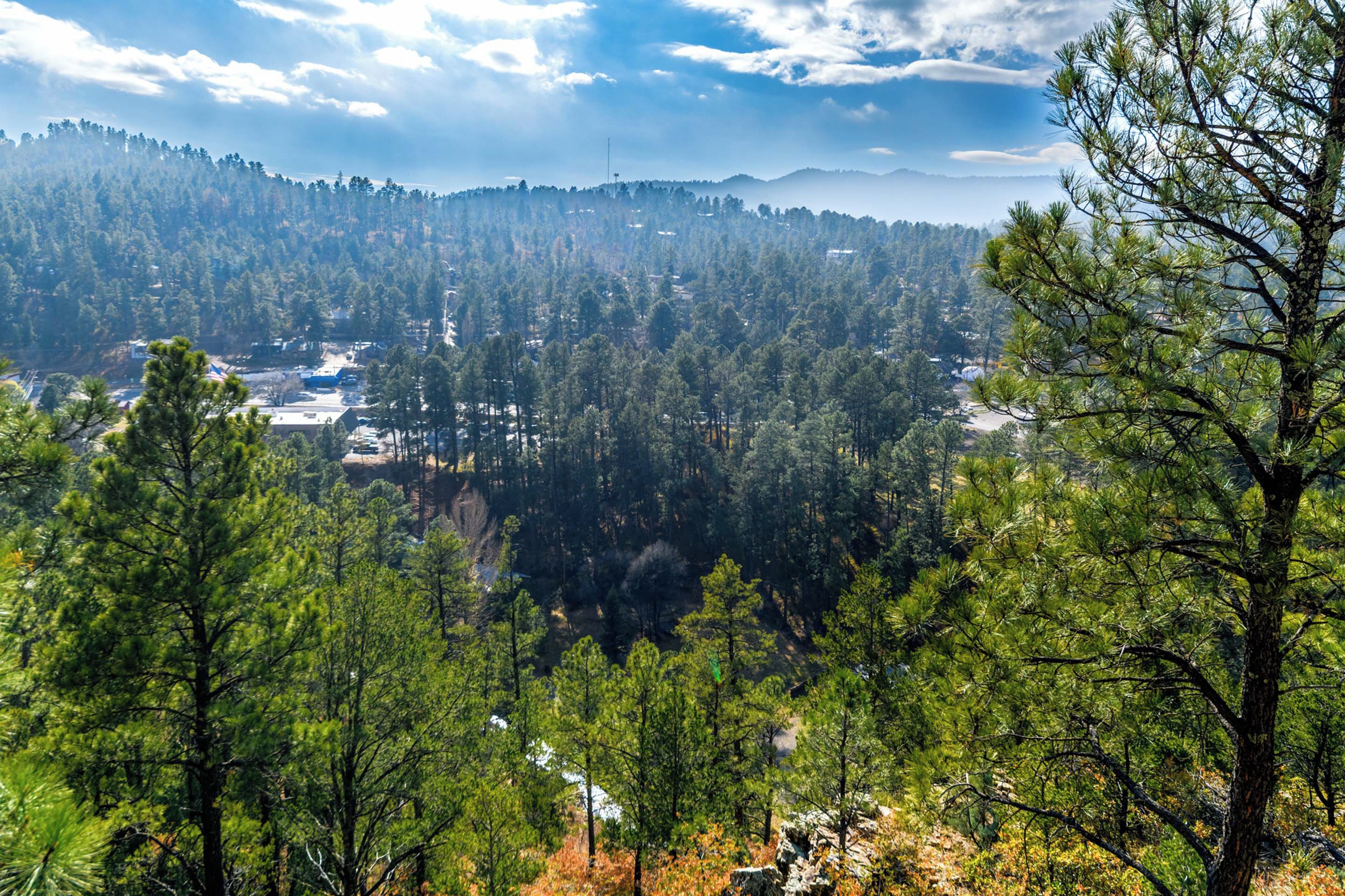 A forested landscape with a view of a valley and distant mountains.