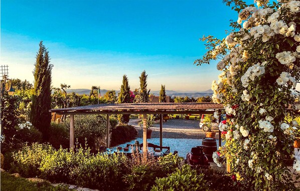 Property grounds - 6 bedroom nice home in Montaione (FI) (Montaione (FI))