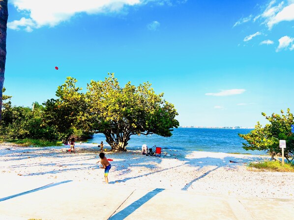 Una playa con un árbol grande, cielo azul despejado y mar tranquilo.
