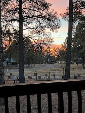 Property grounds - Cabin in Pagosa Lakes, Permit #: VRP036627 (Pagosa Springs)