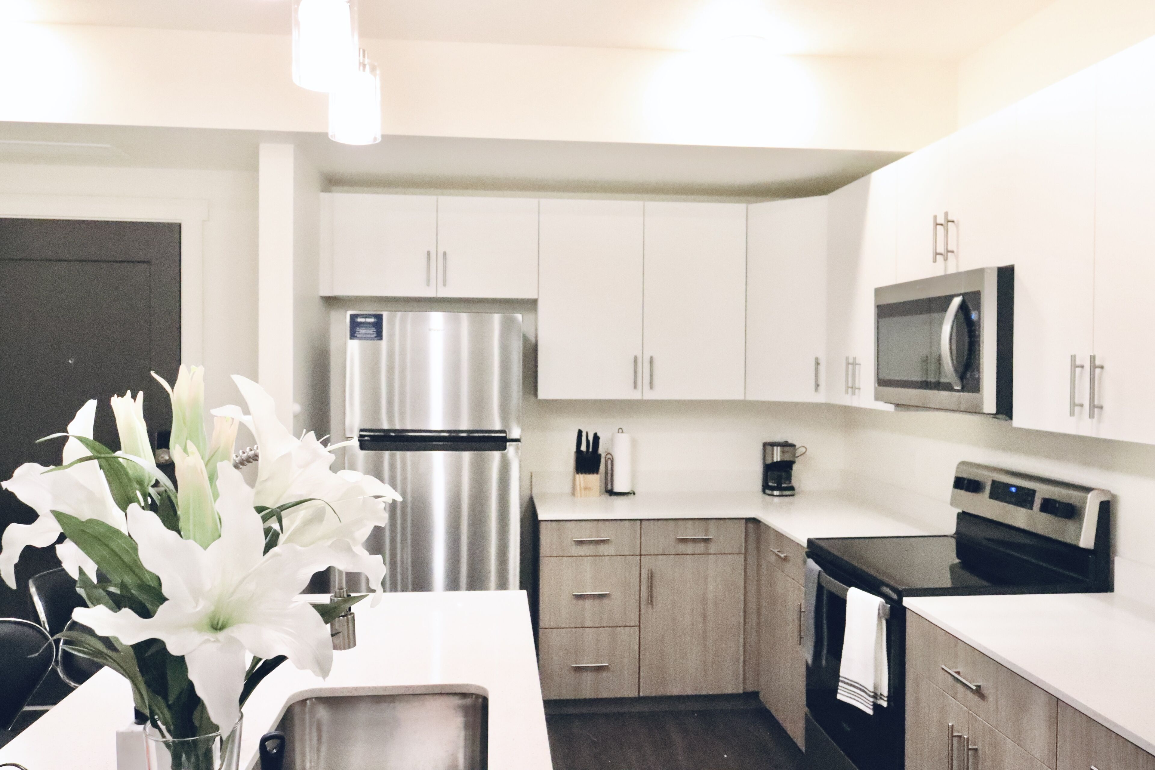Salt Lake City’s Luxury 2-bedroom Apartment