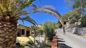 A residential street with a yellow house, palm trees, and a stone wall.