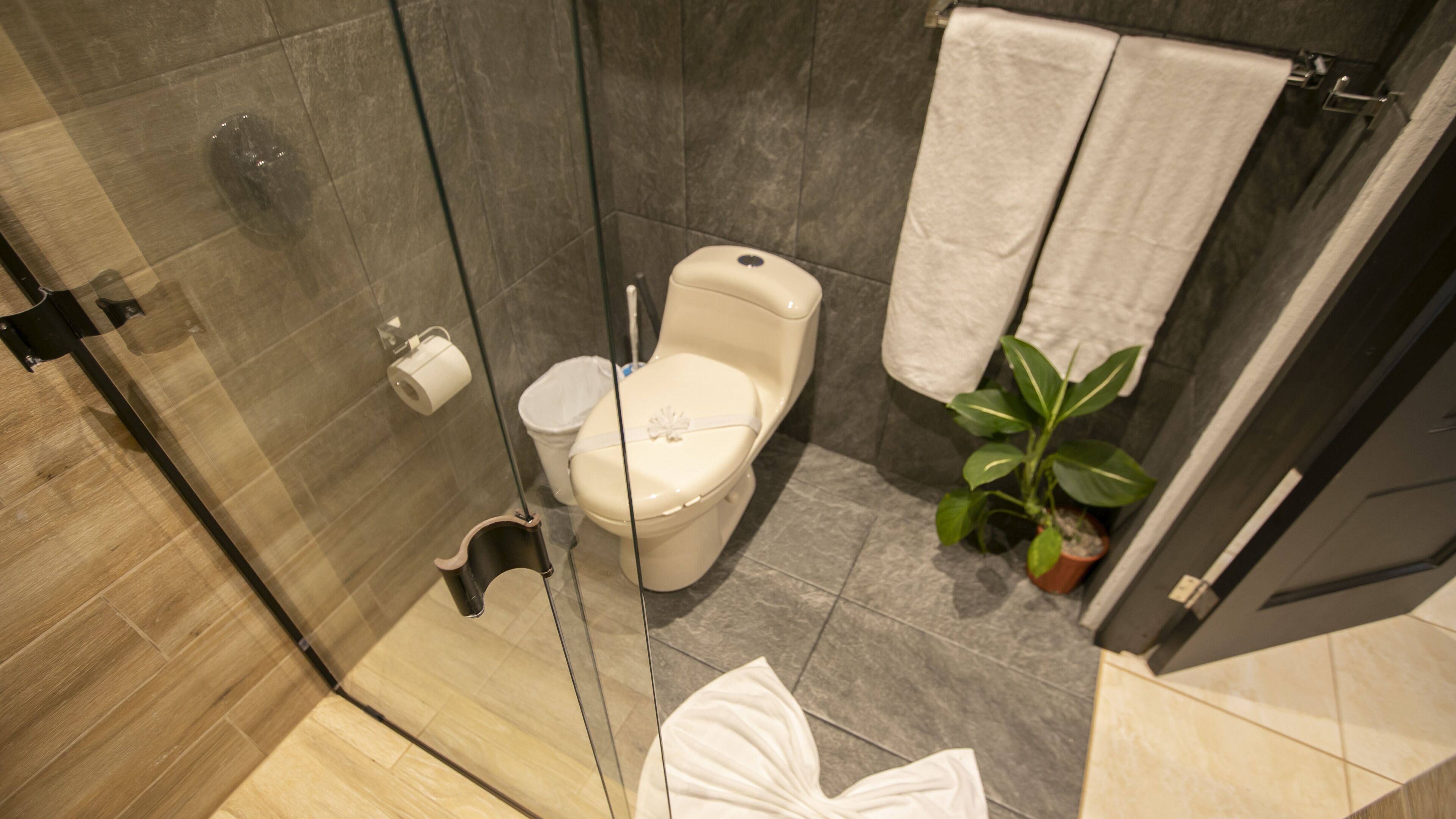 Une salle de bain moderne avec une douche à parois de verre, des toilettes et une plante en pot.