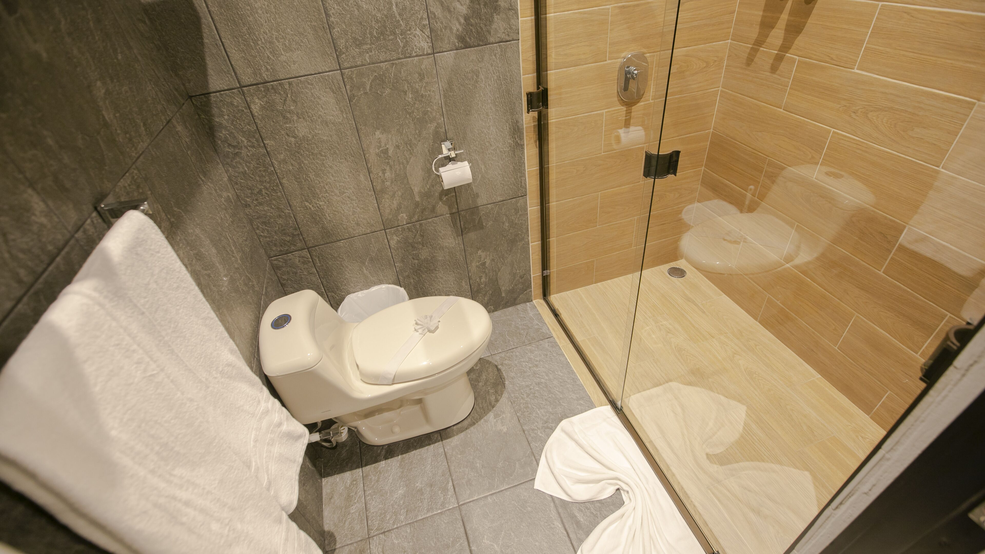 Ein Badezimmer mit Toilette, Dusche und Handtuchhalter.