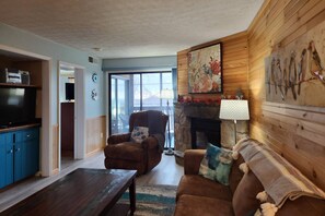 Télévision, cheminée, lecteur de DVD