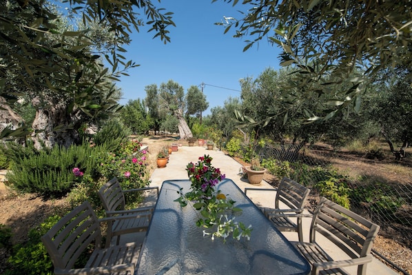 Un espace de restauration en plein air, avec une table et des chaises, entouré d’oliviers et de plantes en pot.