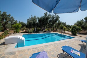 Una piscina rectangular con borde de piedra, rodeada por un patio de piedra. Se observan sillones de descanso y un área cubierta con toldo azul.