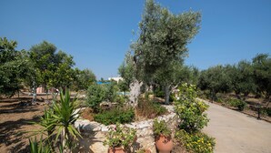 Un jardín con diversas plantas y un sendero.