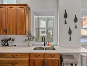 Kitchen features a double sink, potted plant, and a window with a view.