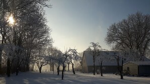 Schneebedeckte Landschaft mit kargen Bäumen und einem Gebäude im Hintergrund.