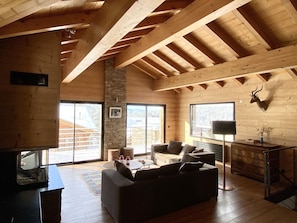 TV, fireplace, DVD player, books