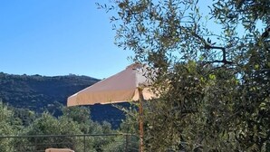 An outdoor patio with two wooden chairs and a large umbrella, surrounded by olive trees and a view of hills.