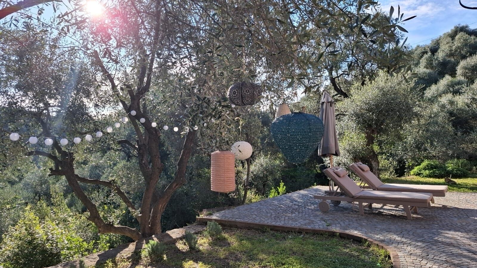 Parco della struttura