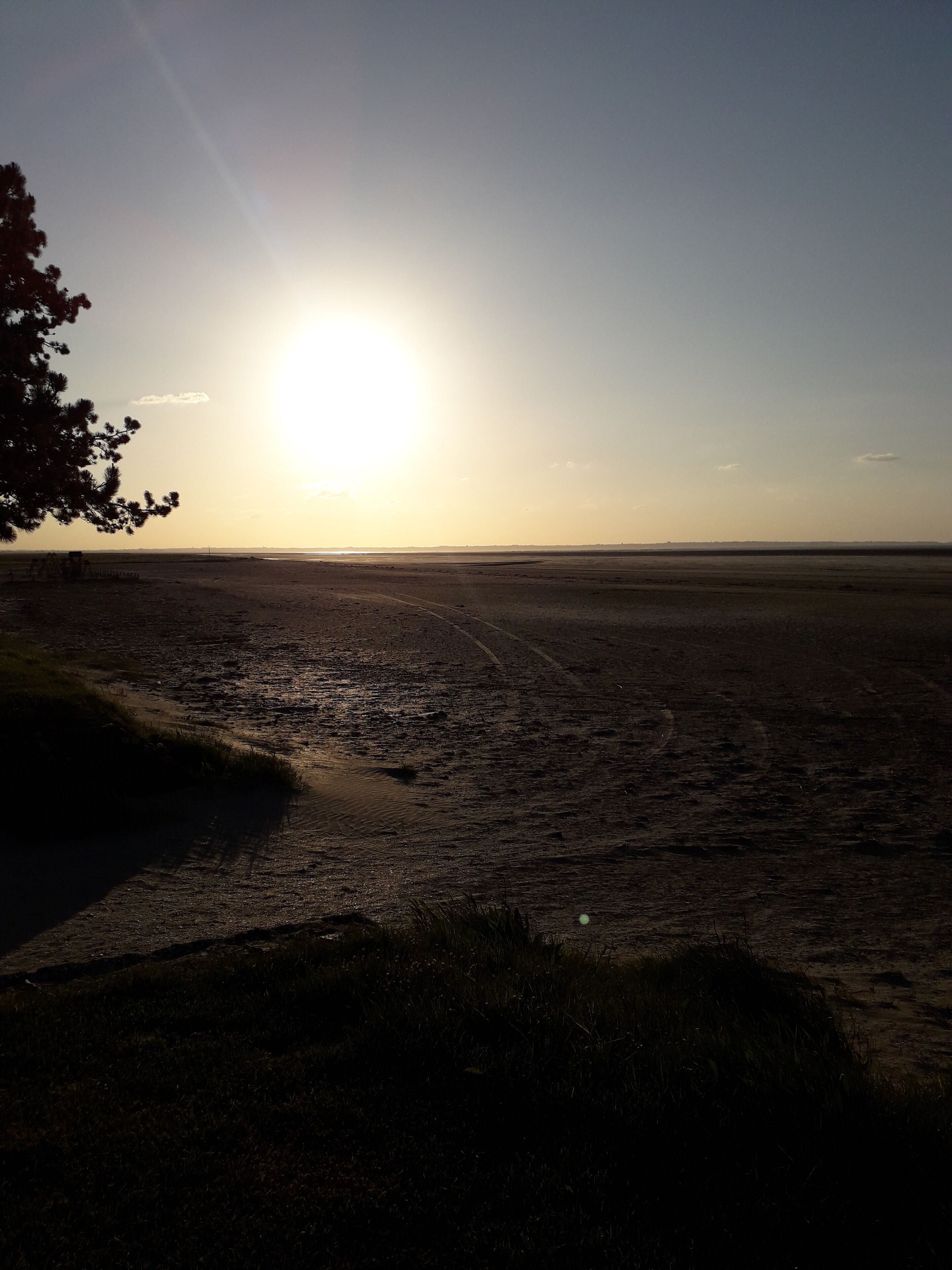 Ein Strand mit blauem Himmel und tiefstehender Sonne.