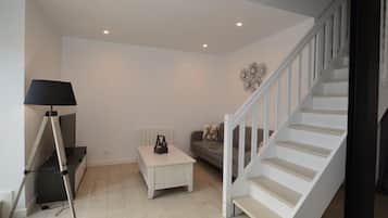 Télévision, lecteur de DVD, livres