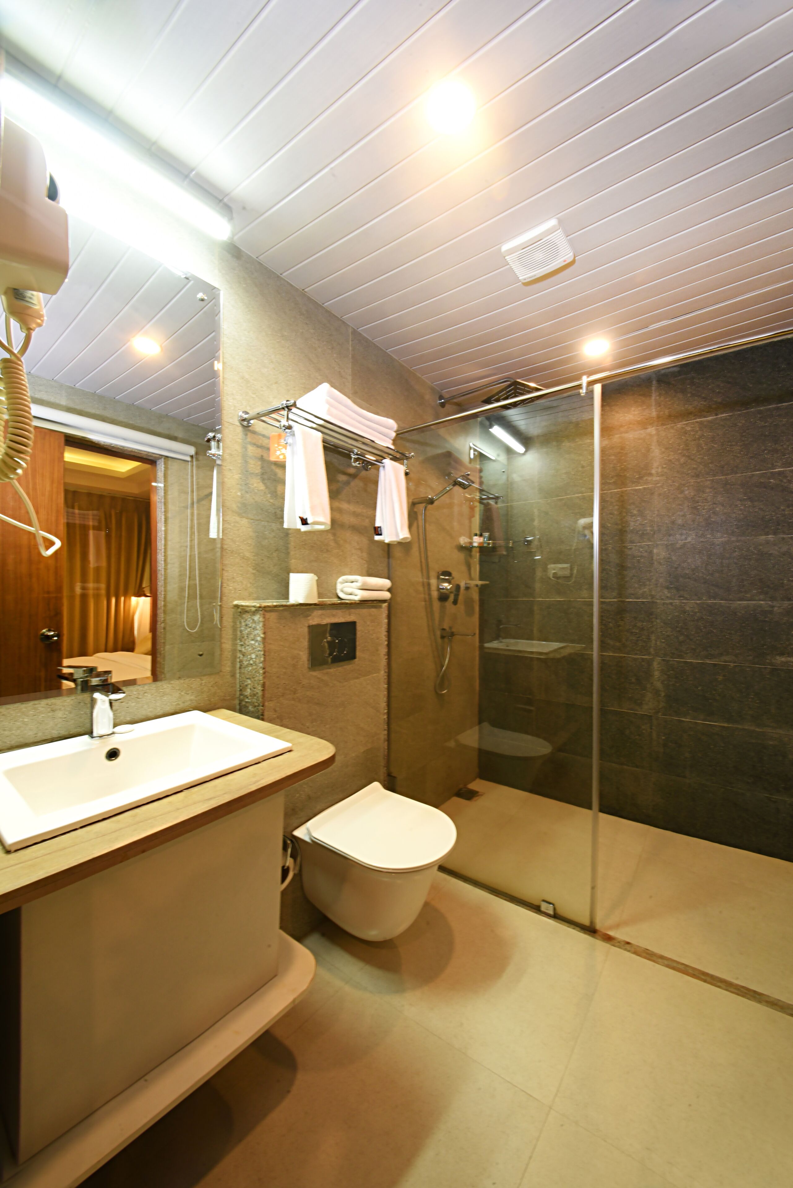 A modern bathroom with a glass shower enclosure, a white sink, and a toilet.